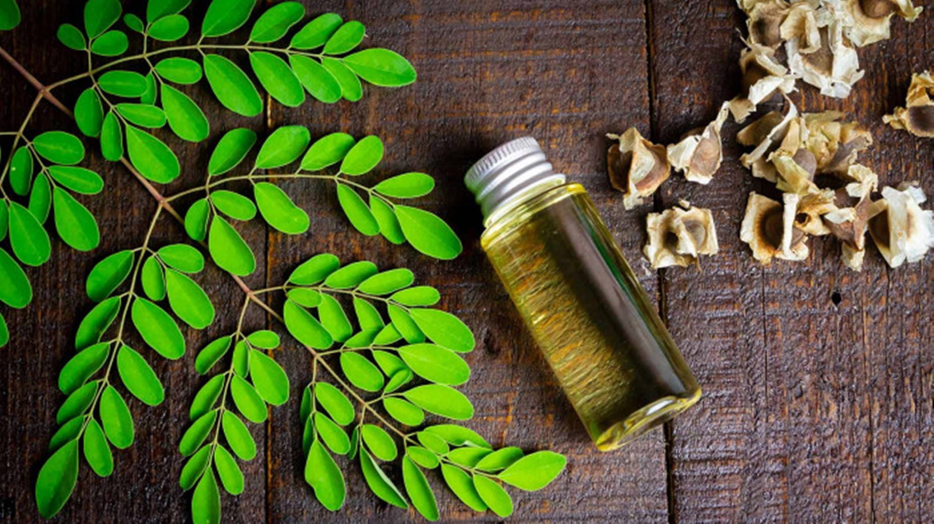 Oil From Moringa Leaves Background