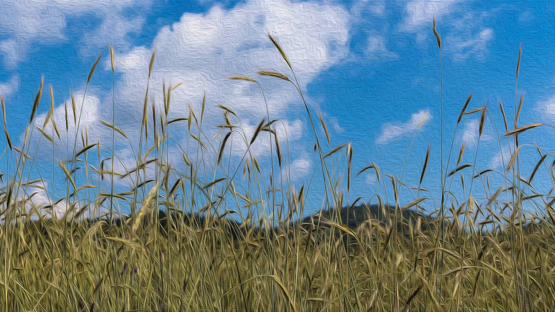 Oil On Canvas Wheat Field Painting Background