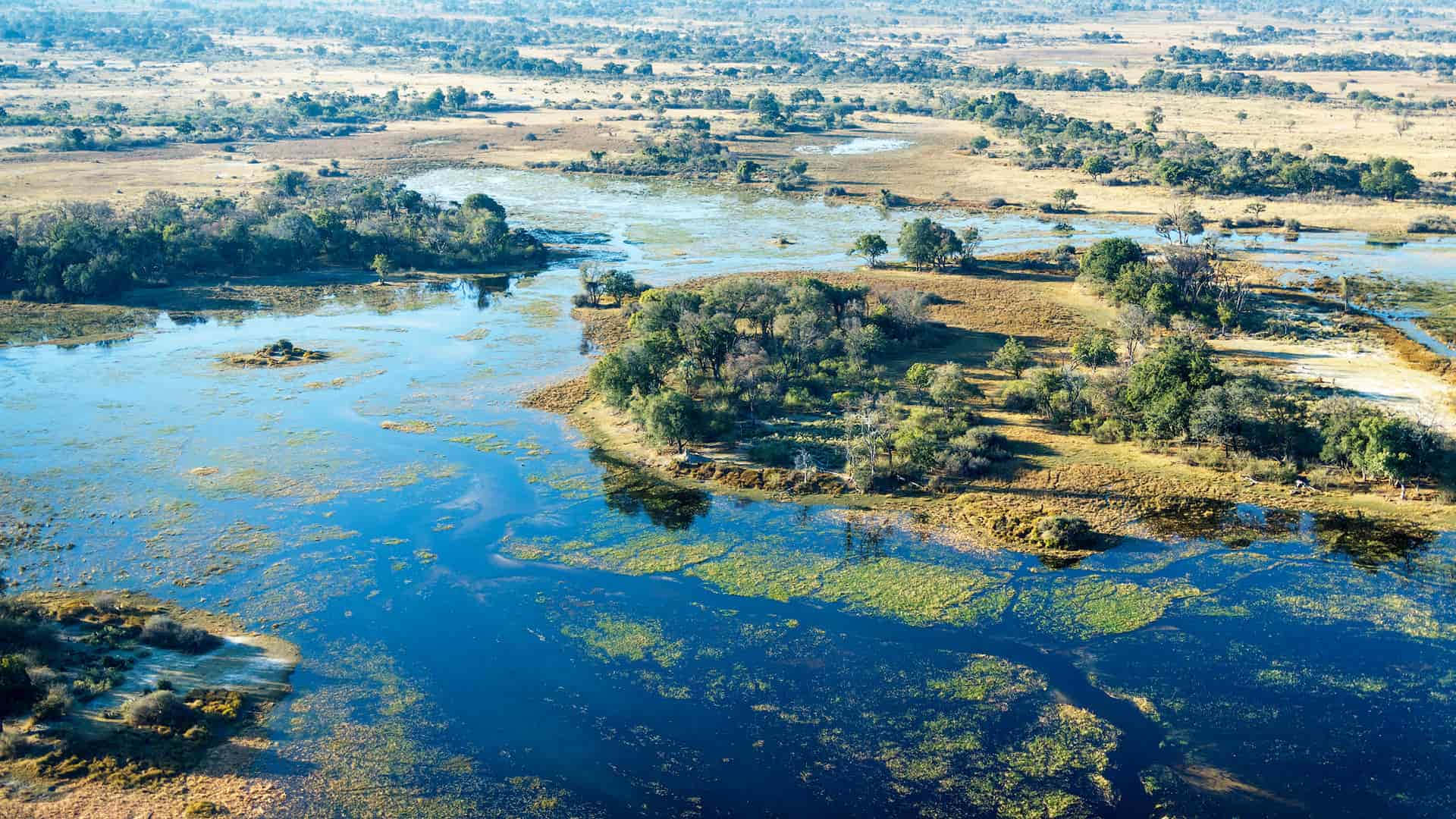 Okavango Delta Geographical Feature