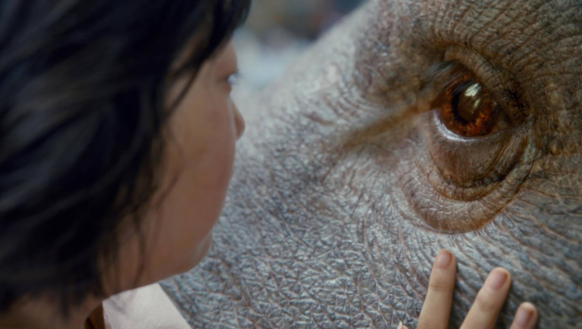 Okja's Eyes Close-up Background