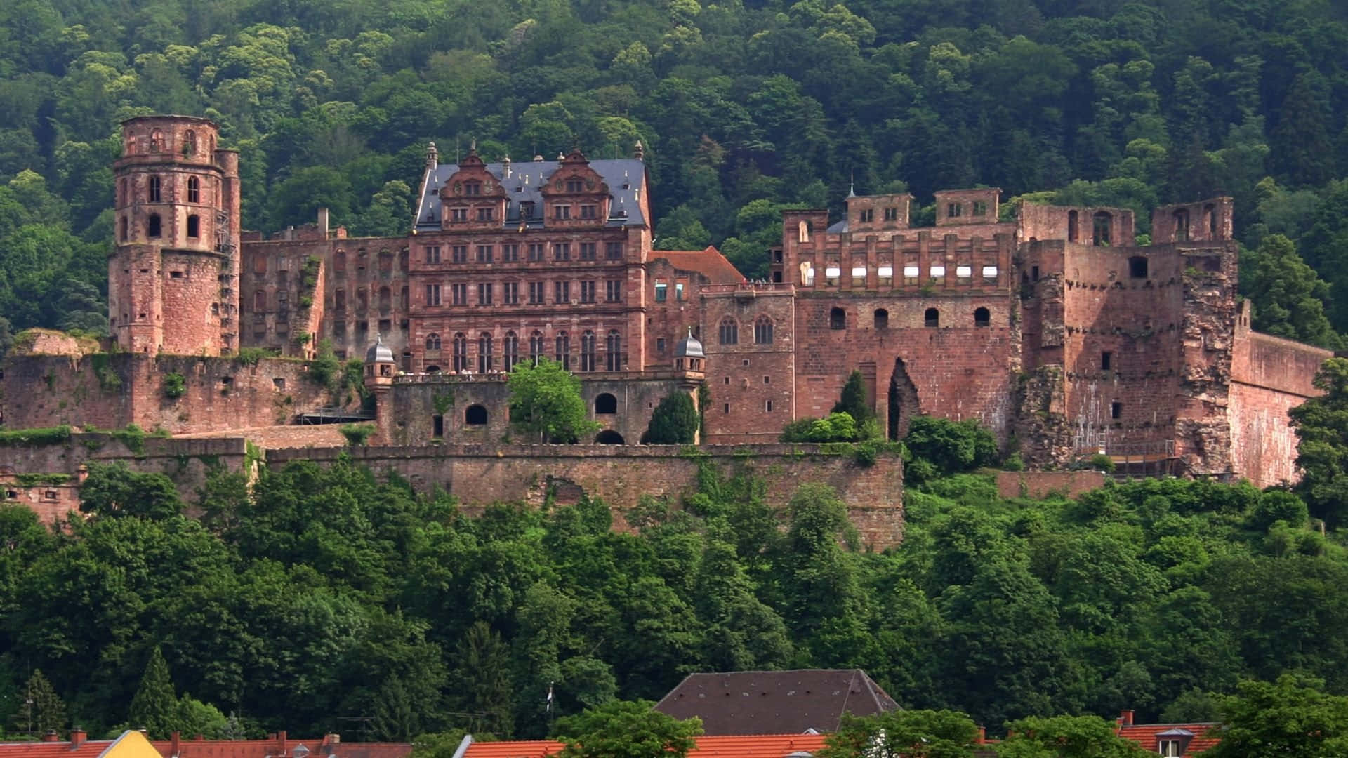 Old But Stunning Heidelberg Castle