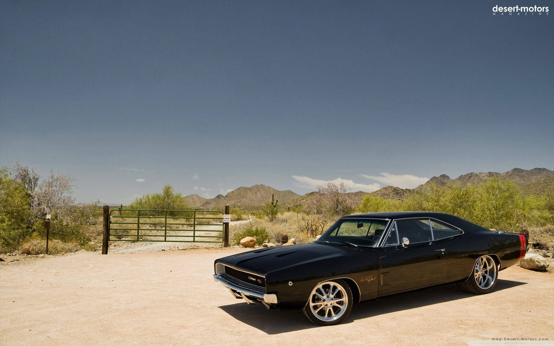 Old Car In Desert Background