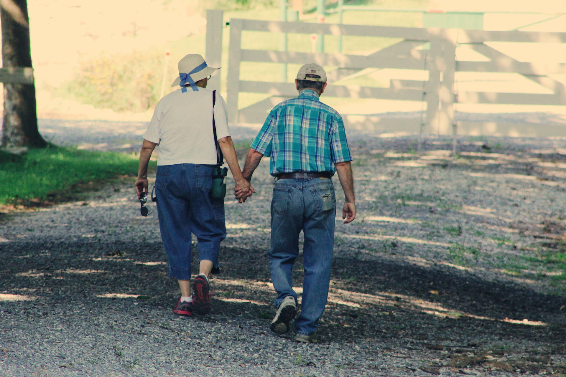 Old Couple Holding Hands