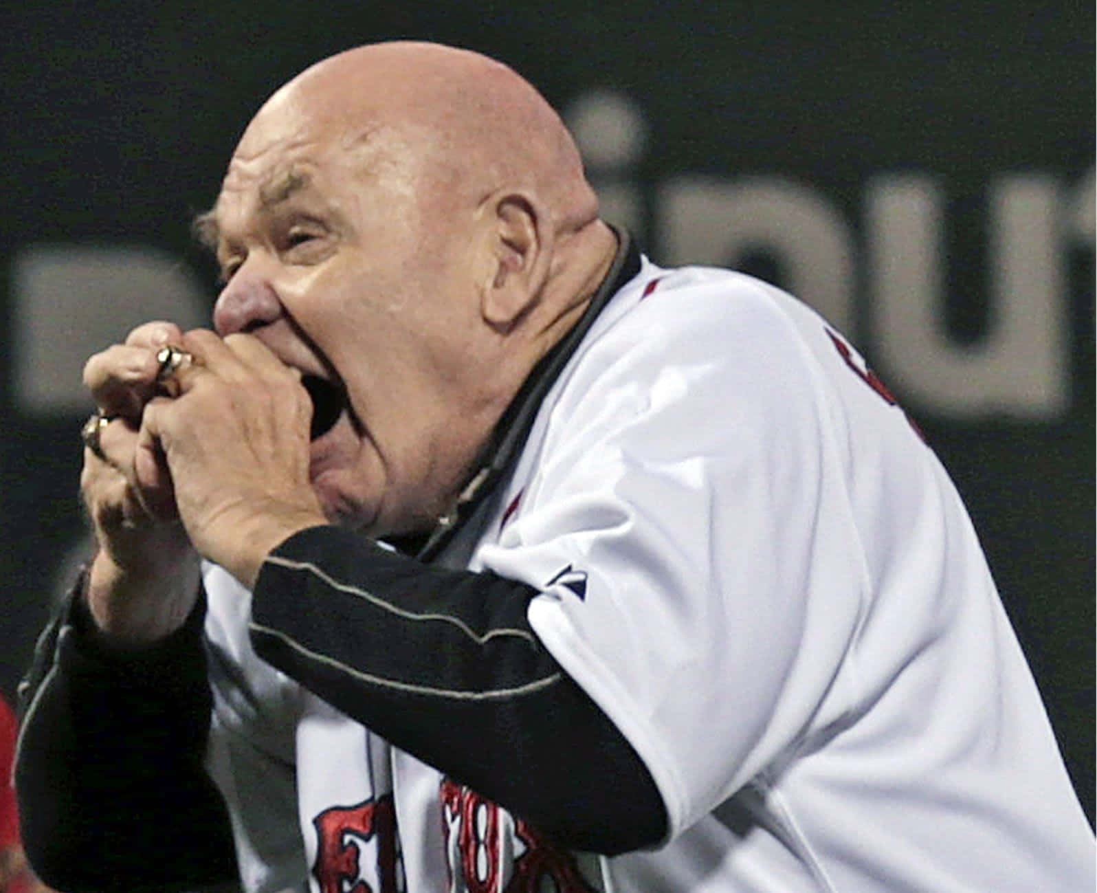 Old George Steele The Animal Background