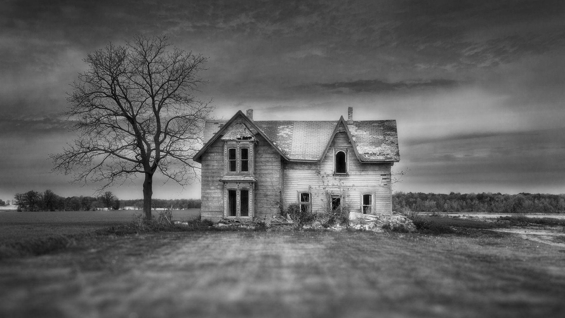 Old Haunted House With Empty Tree Background