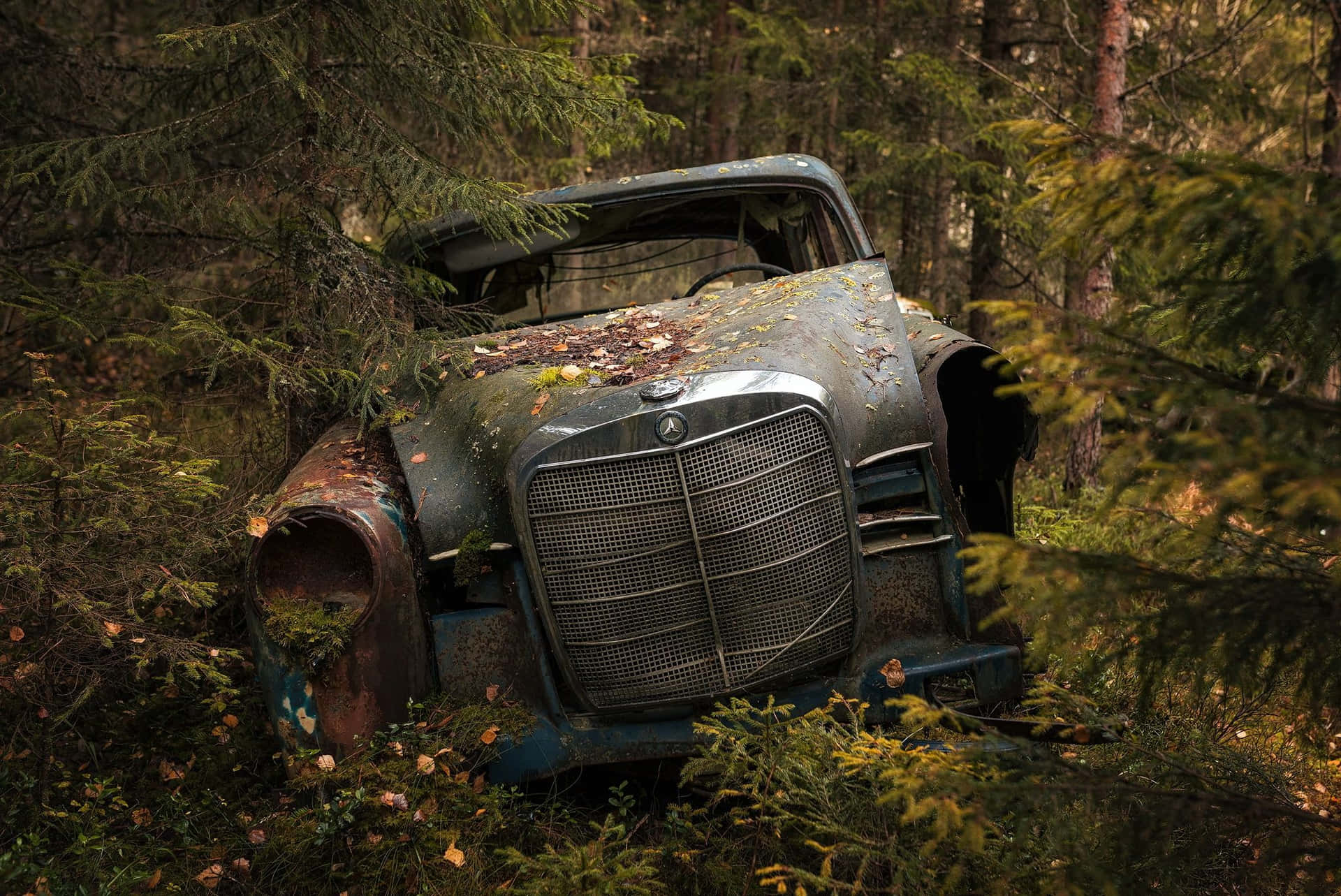 Old Mercedes Abandoned Car In Forest