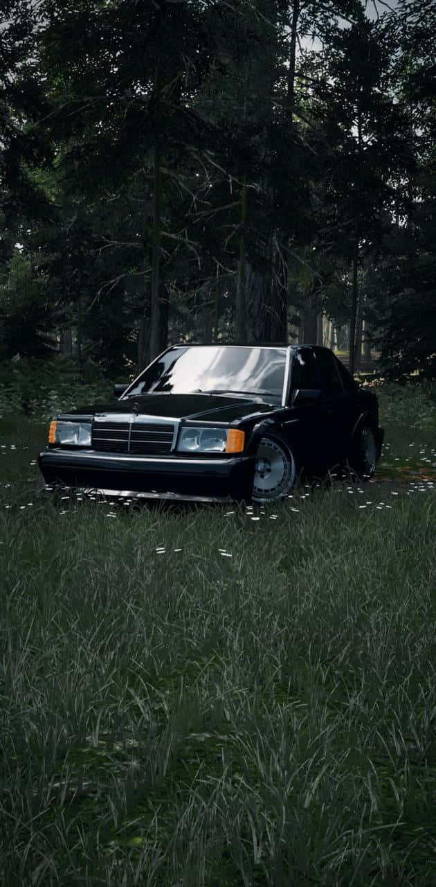 Old Mercedes Benz In Grassland