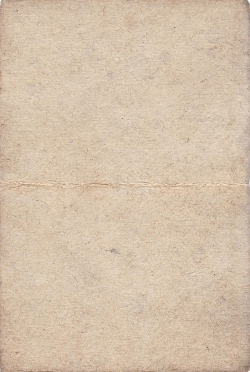 Old Paper Texture Light Gray Parchment