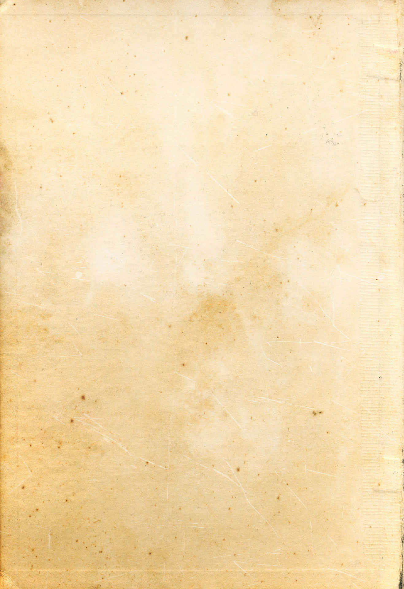 Old Paper Texture Light Pink Parchment