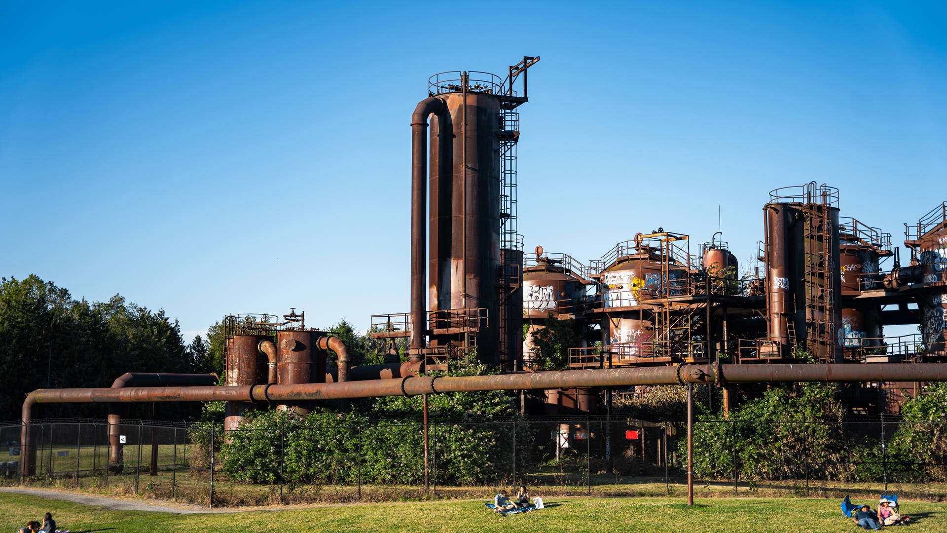 Old Plant Seattle 4k Background