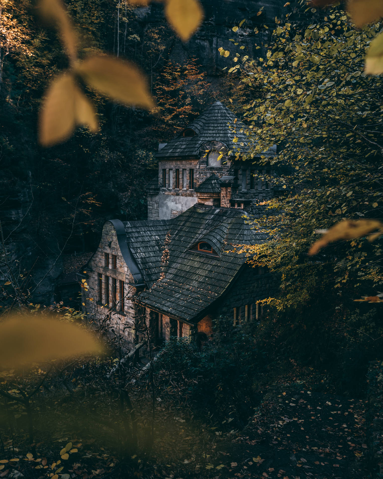 Old Stone House In A Dense Forest Background