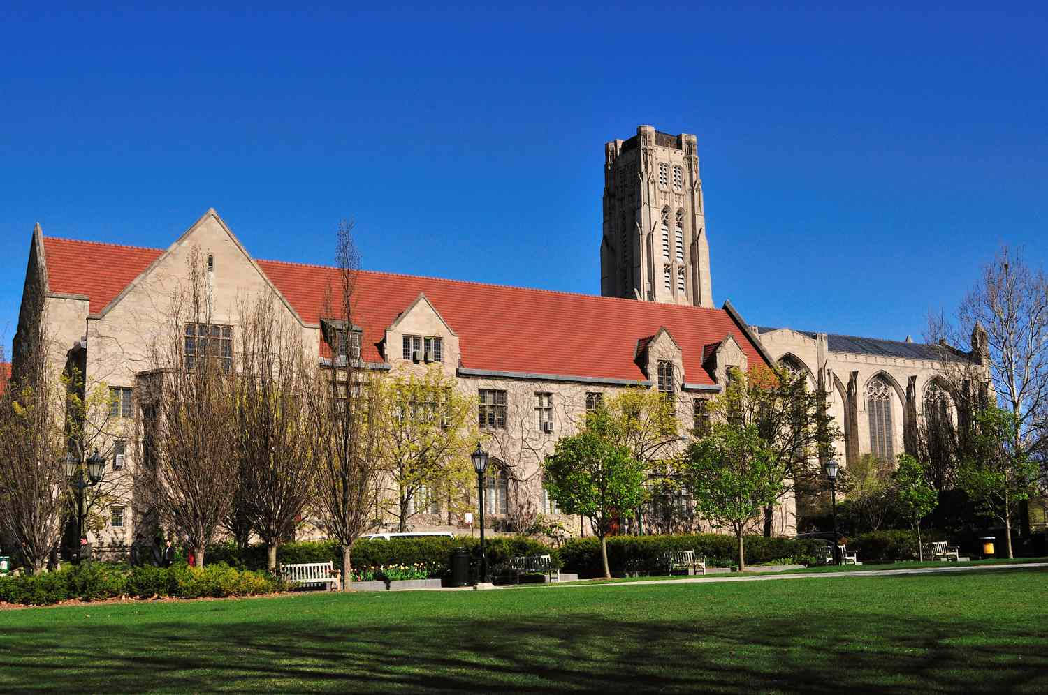 Old University Of Chicago Background