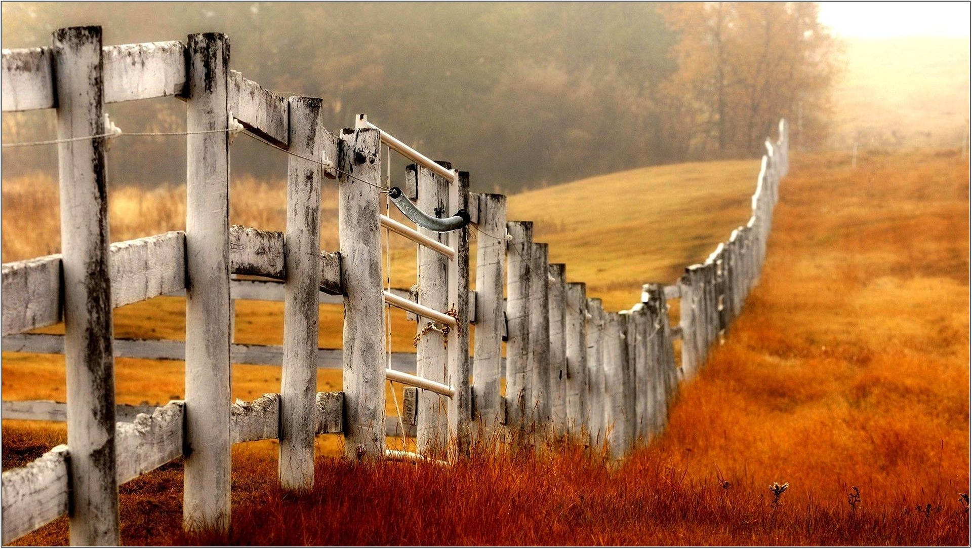Old White Country Fence In Autumn Background