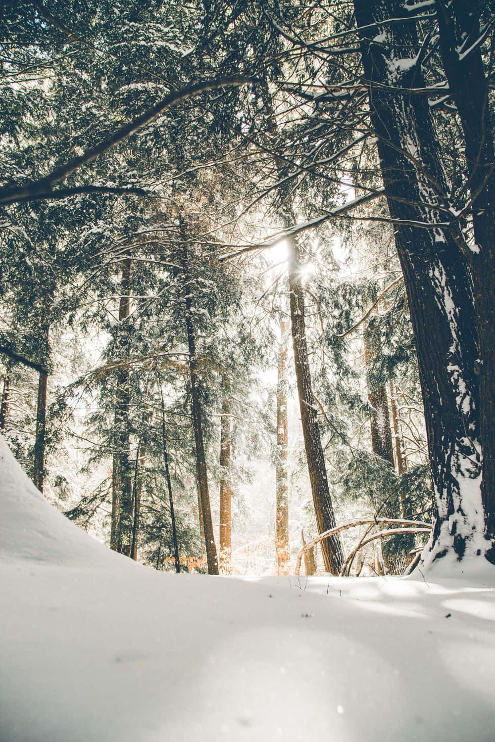 Old Winter Snow Background