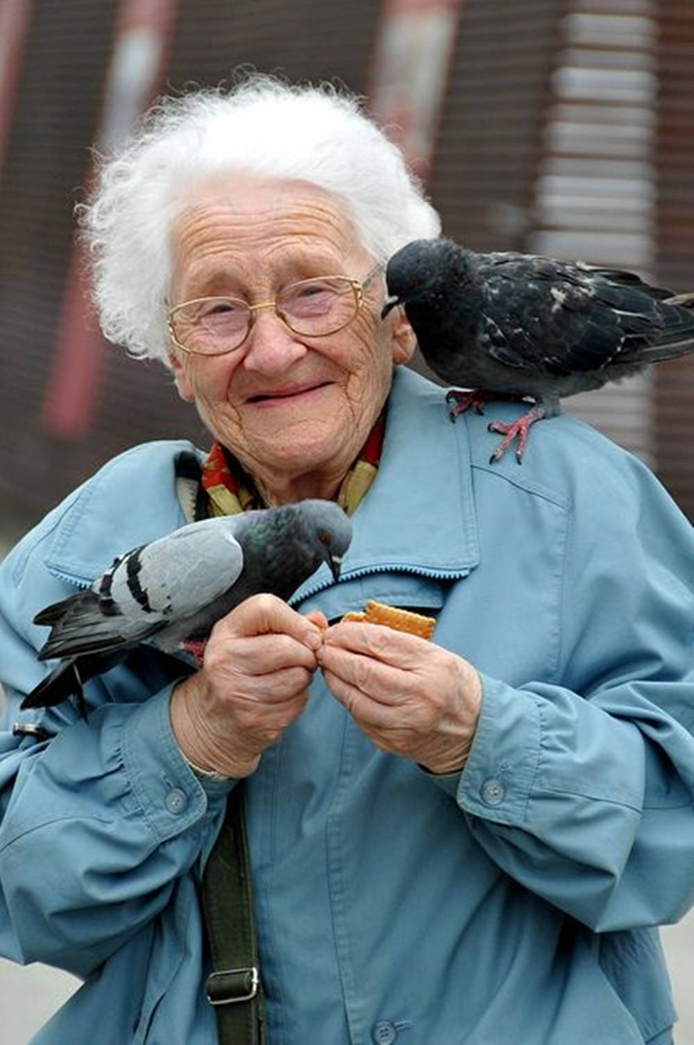 Old Woman With Doves Background