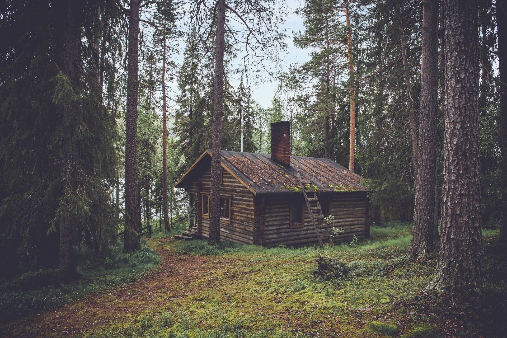 Old Wooden House With Trees Background