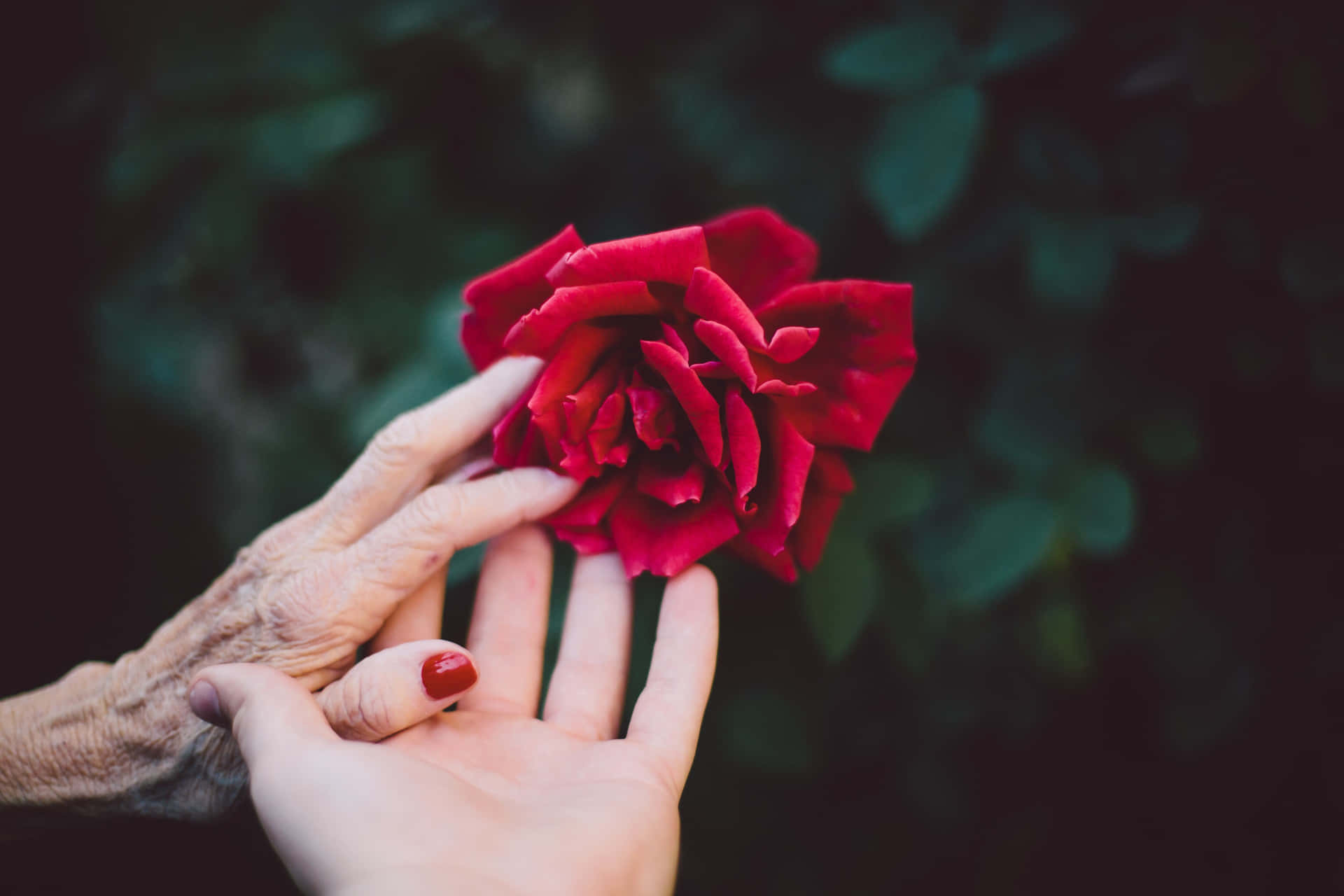 Old Young Holding Hand Background