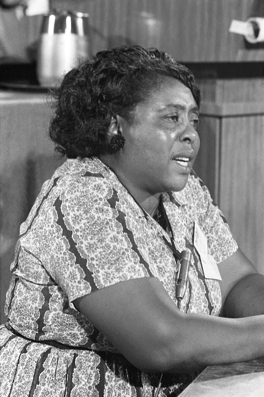 Older Black Woman Fannie Lou Hamer Background