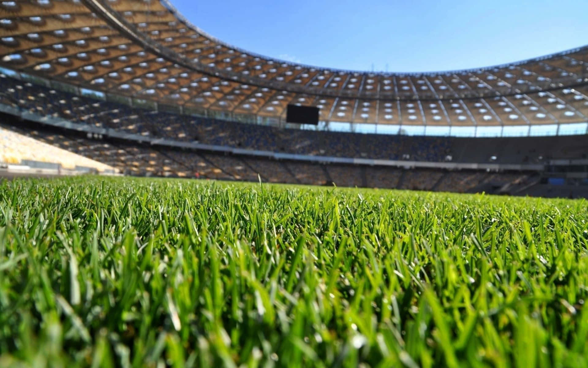 Olimpiyskiy National Sports Complex Football Field Background