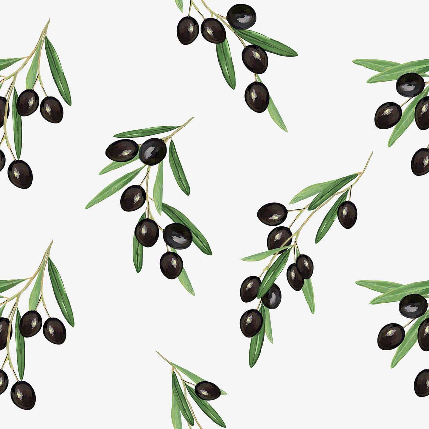 Olive Branch Watercolor Paint Background