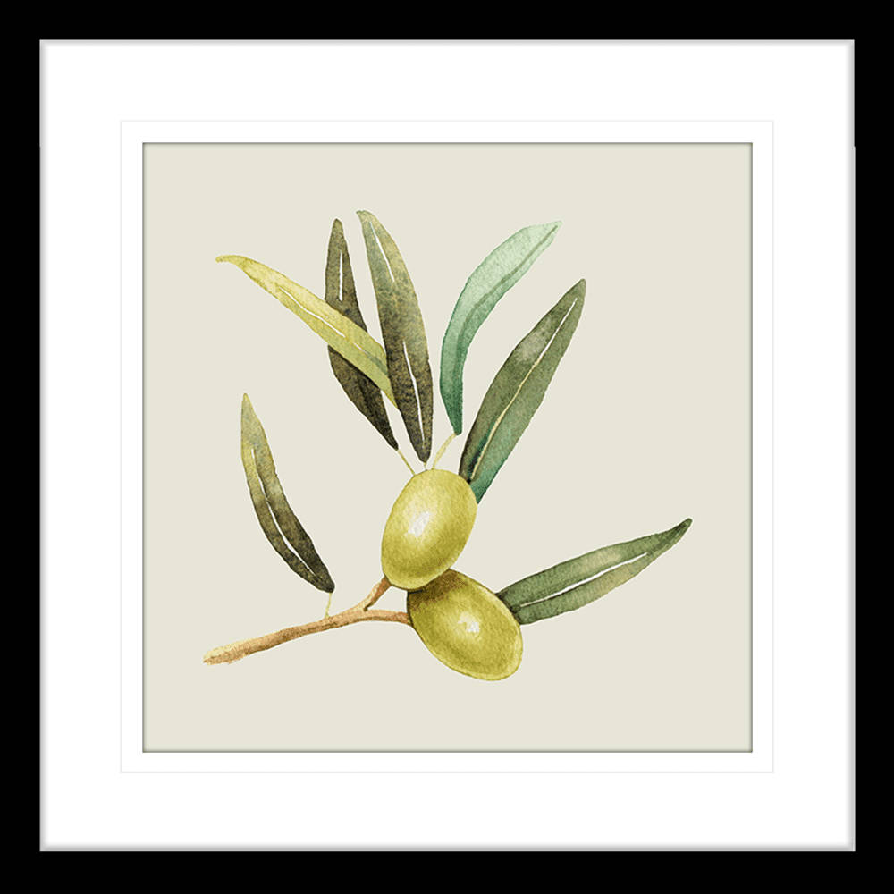 Olive Branch Watercolor Paint Artwork