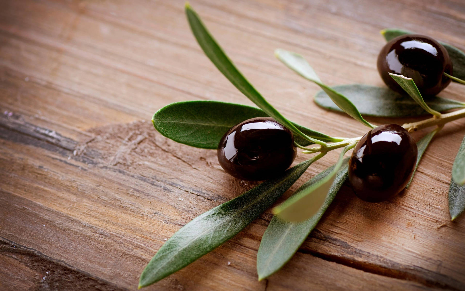 Olive Fruit With Leaves Hd Background