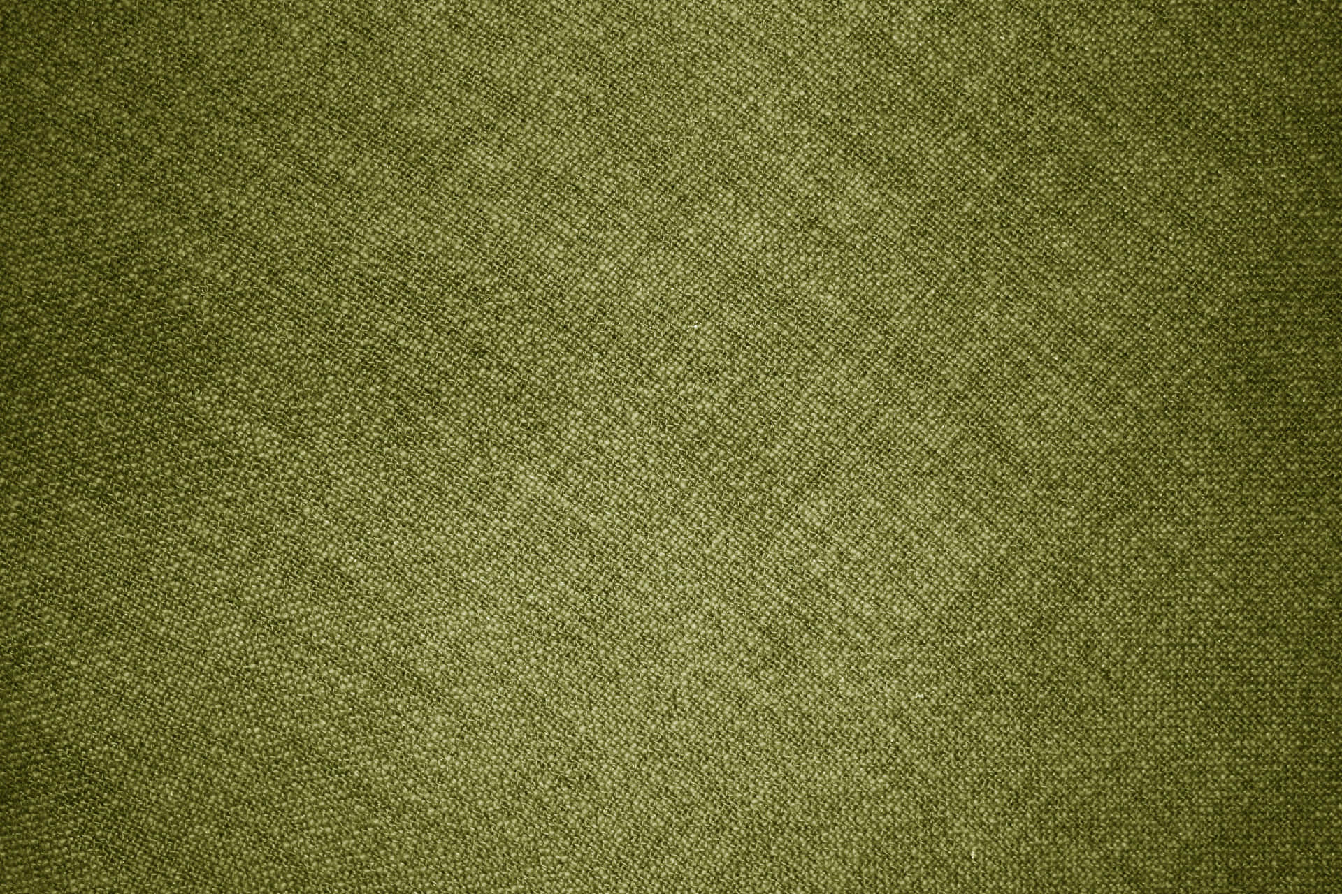 Olive Green 3888 X 2592 Wallpaper Background