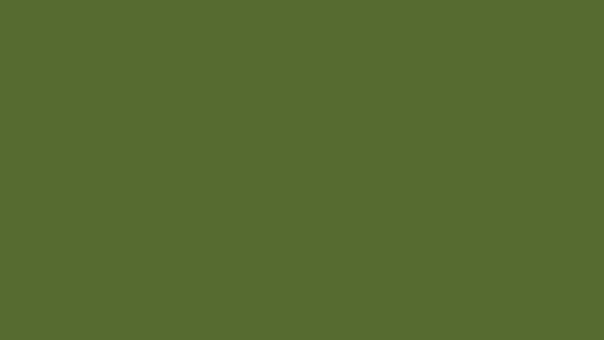 Olive Greenaesthetic Desktop Plain