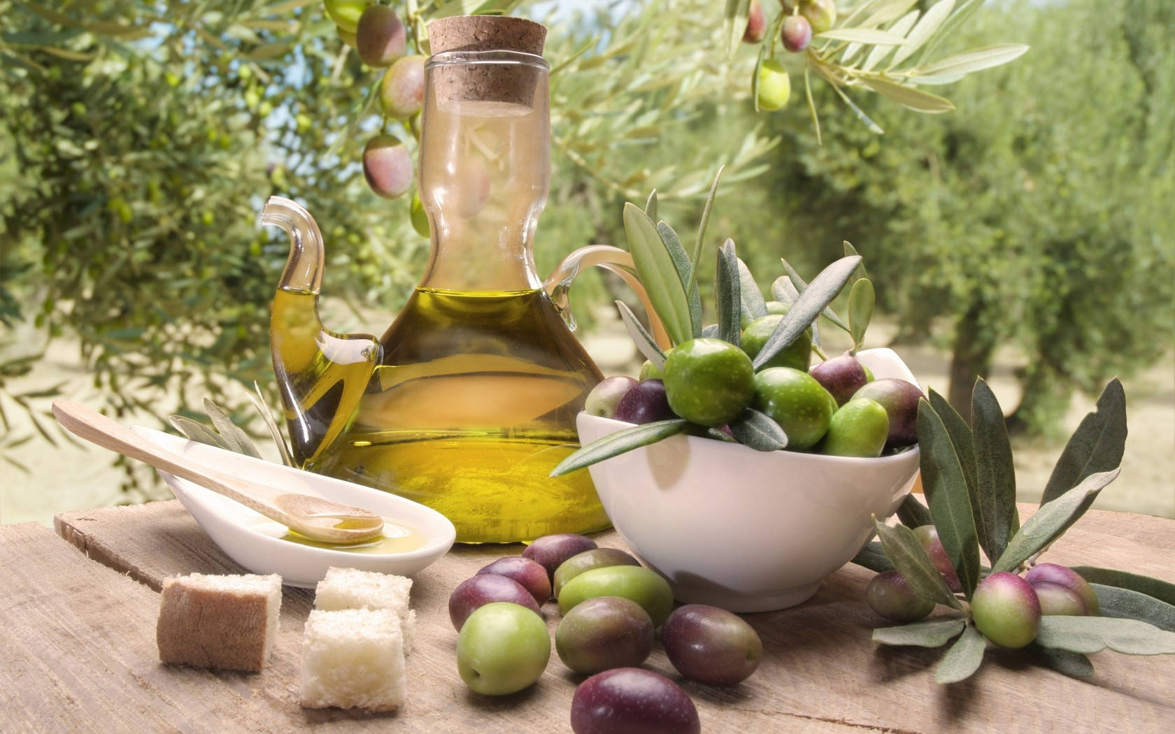 Olive Oil Festival Italy Background