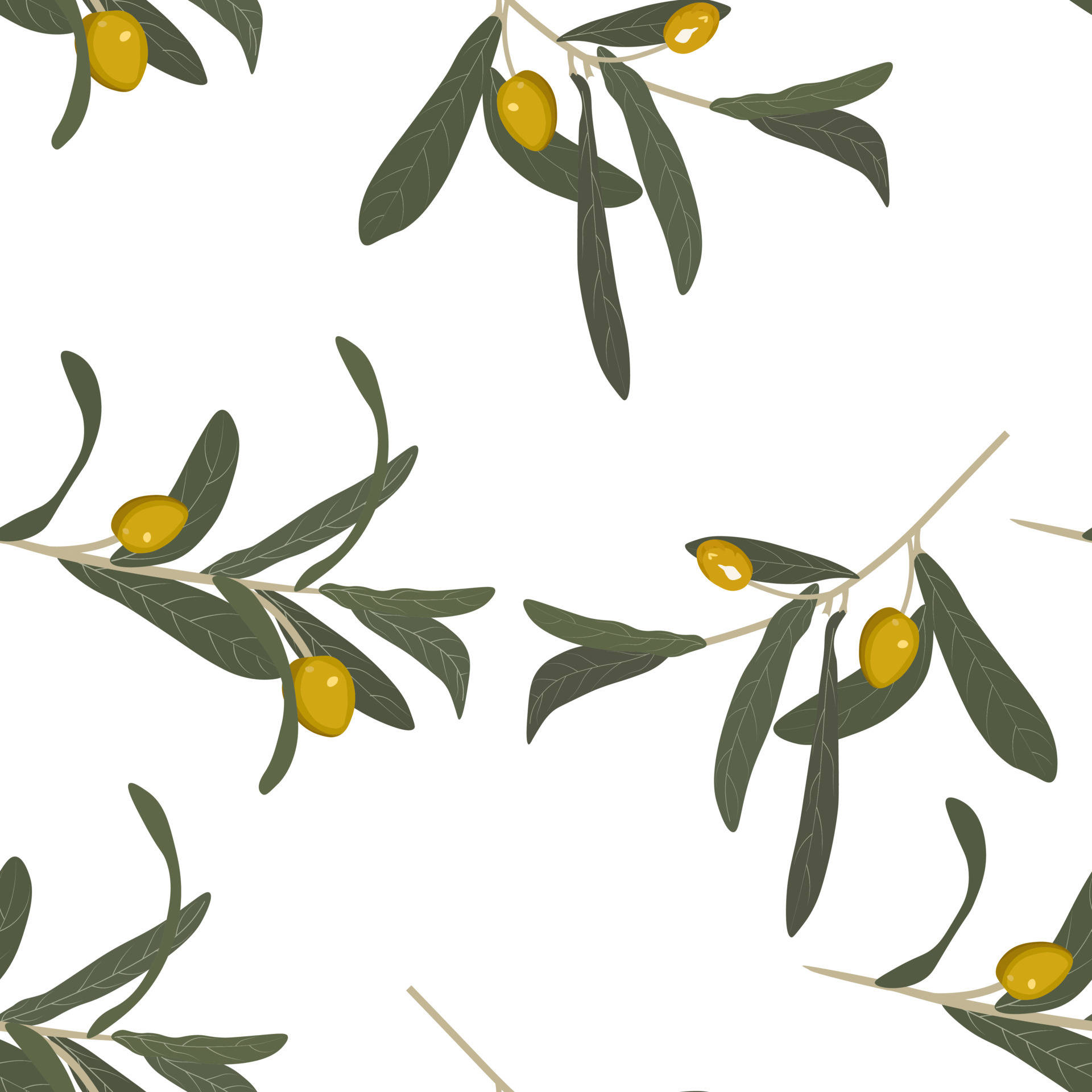 Olive Tree Leaves Texture Background