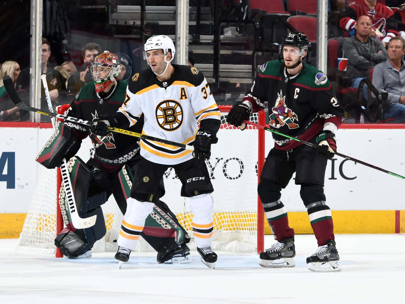 Oliver Ekman Larsson With Darcy Kuemper