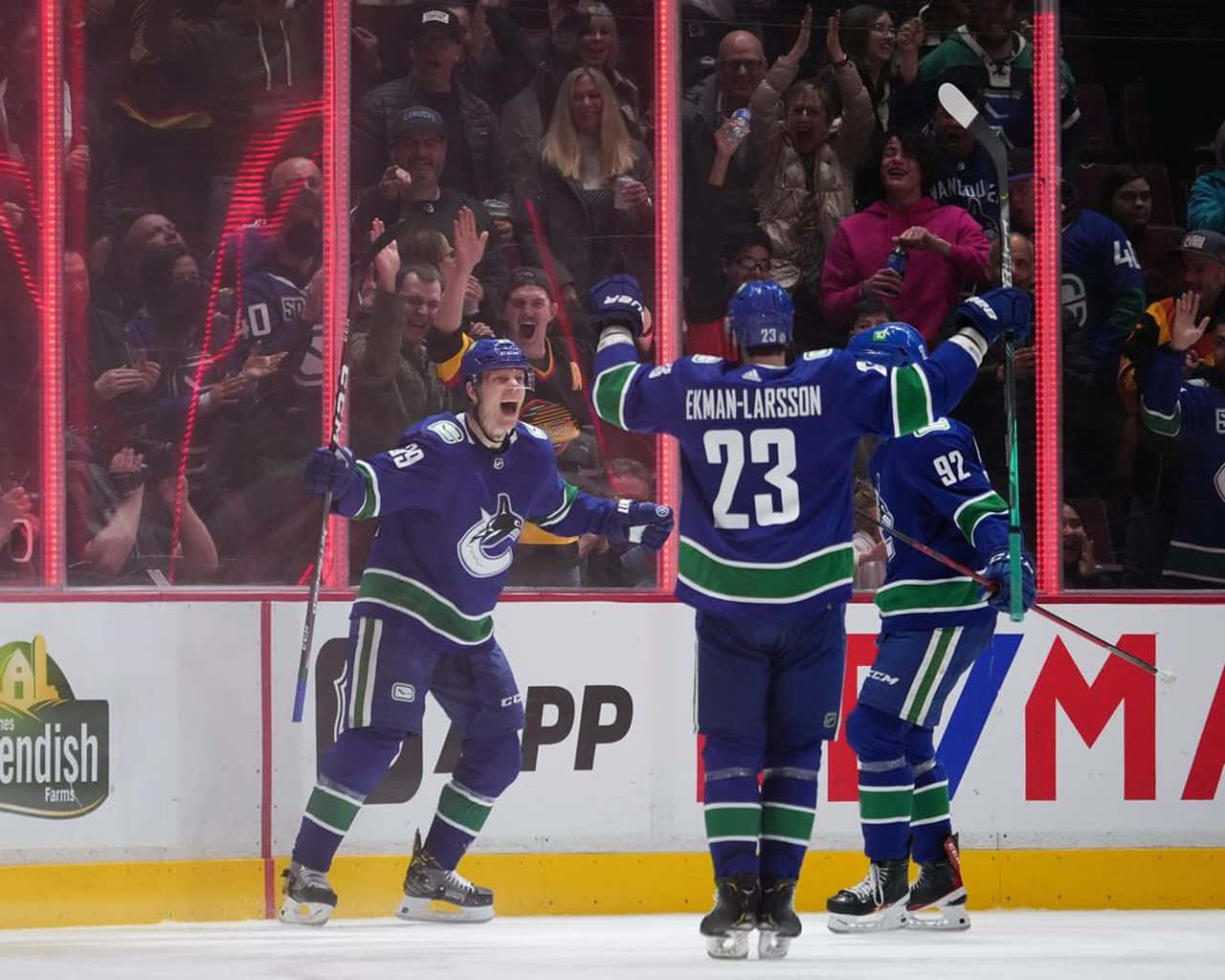 Oliver Ekman Larsson With Vasily Podkolzin Background