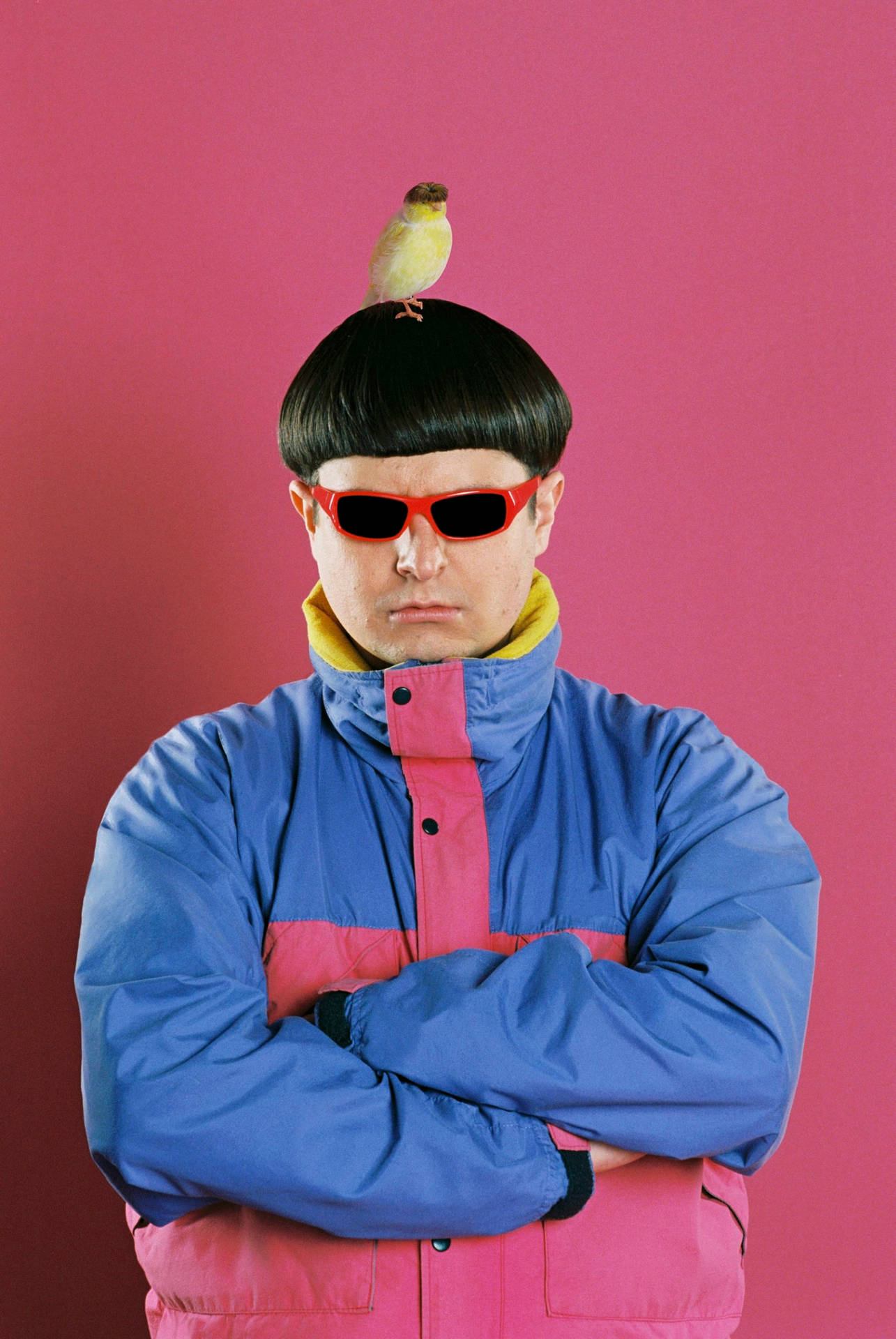 Oliver Tree With Yellow Bird Background