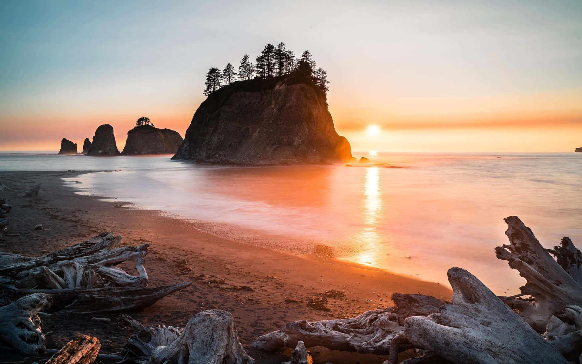 Olympic National Park Coast Background