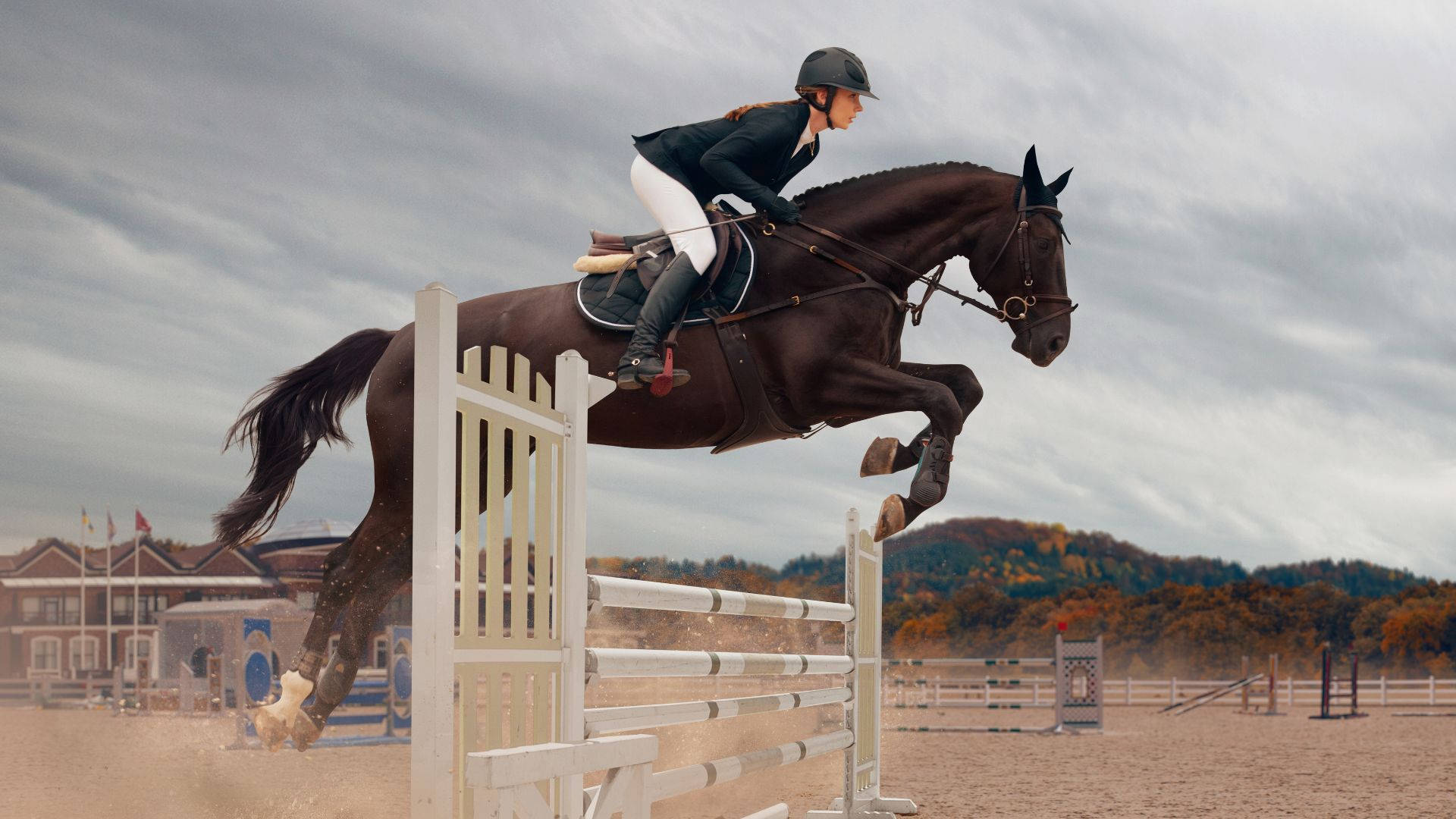 Olympic Sports Equestrian Background