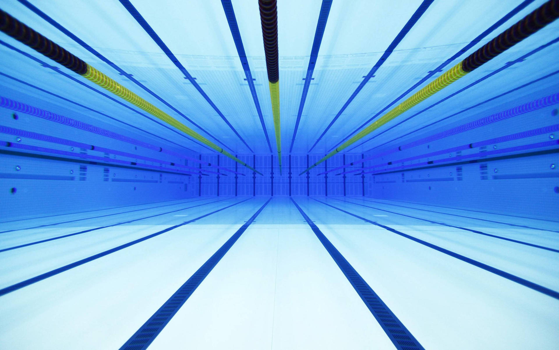 Olympic Swimming Pool Background