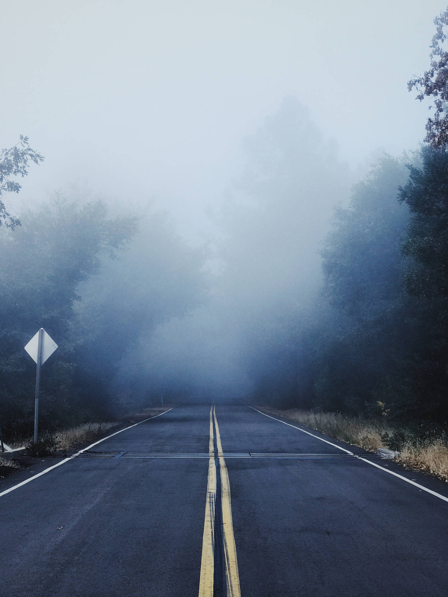 Ominous Foggy Road In The Daytime