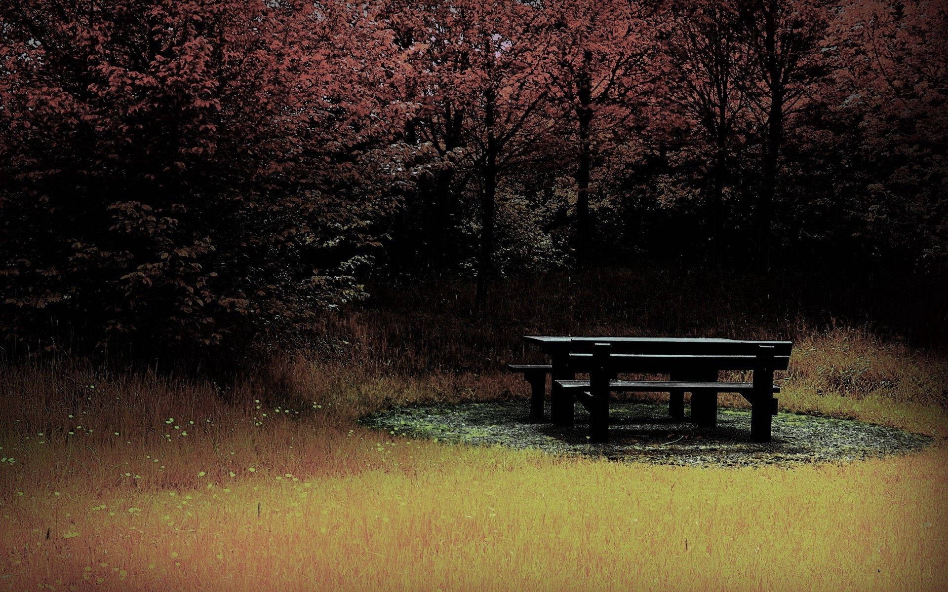 Ominous Forest Bench Background