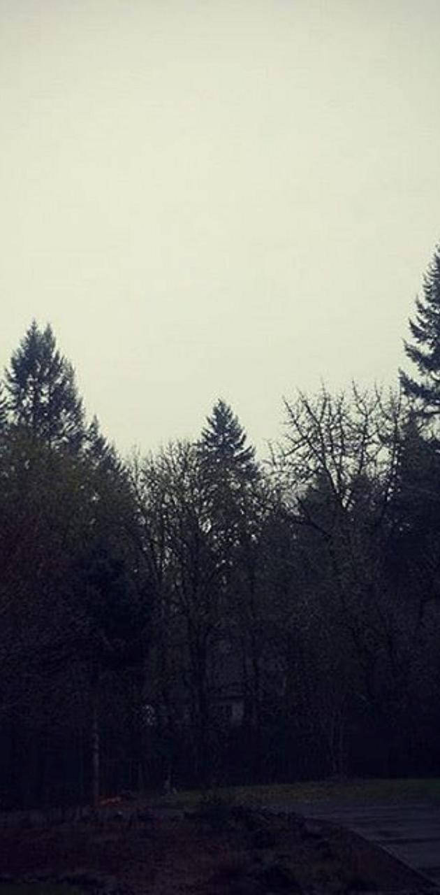 Ominous House Behind The Trees