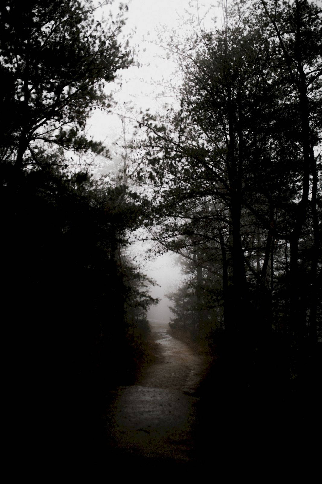 Ominous Path In The Cloudy Day