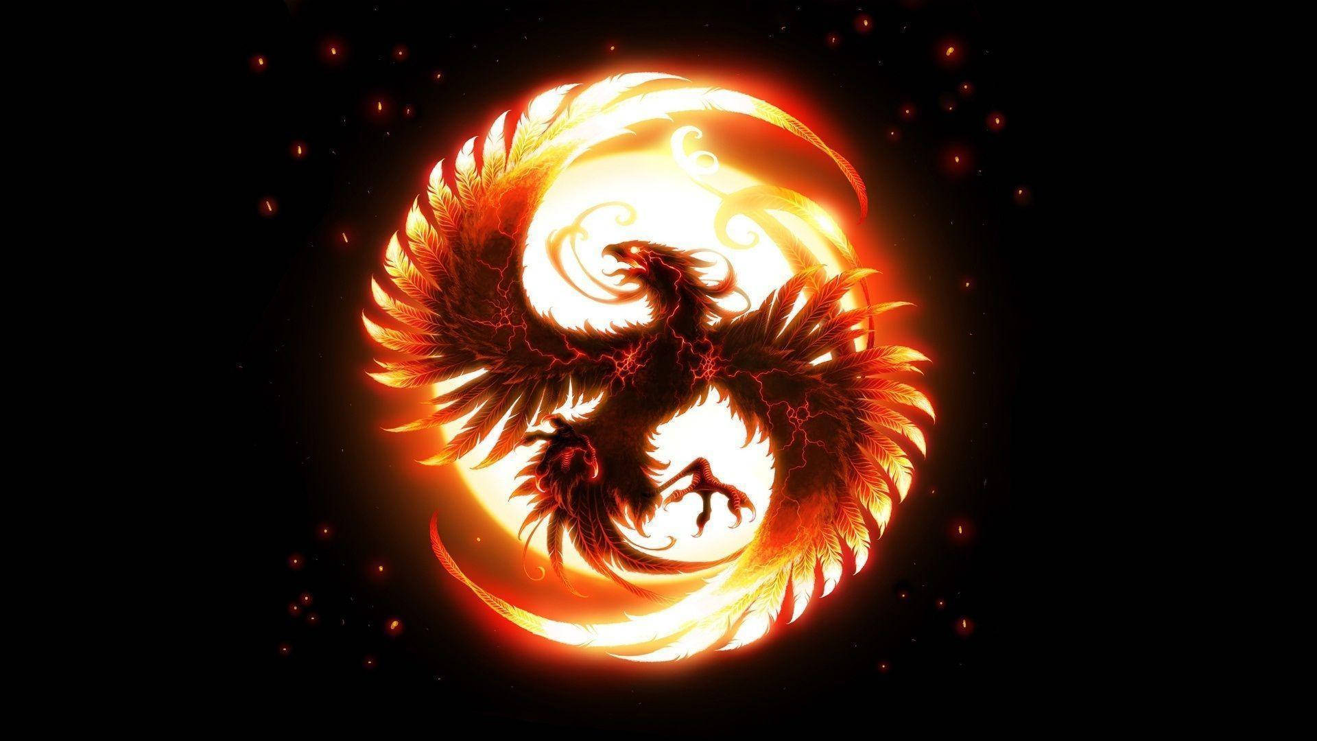 On Fire Bird Logo Background