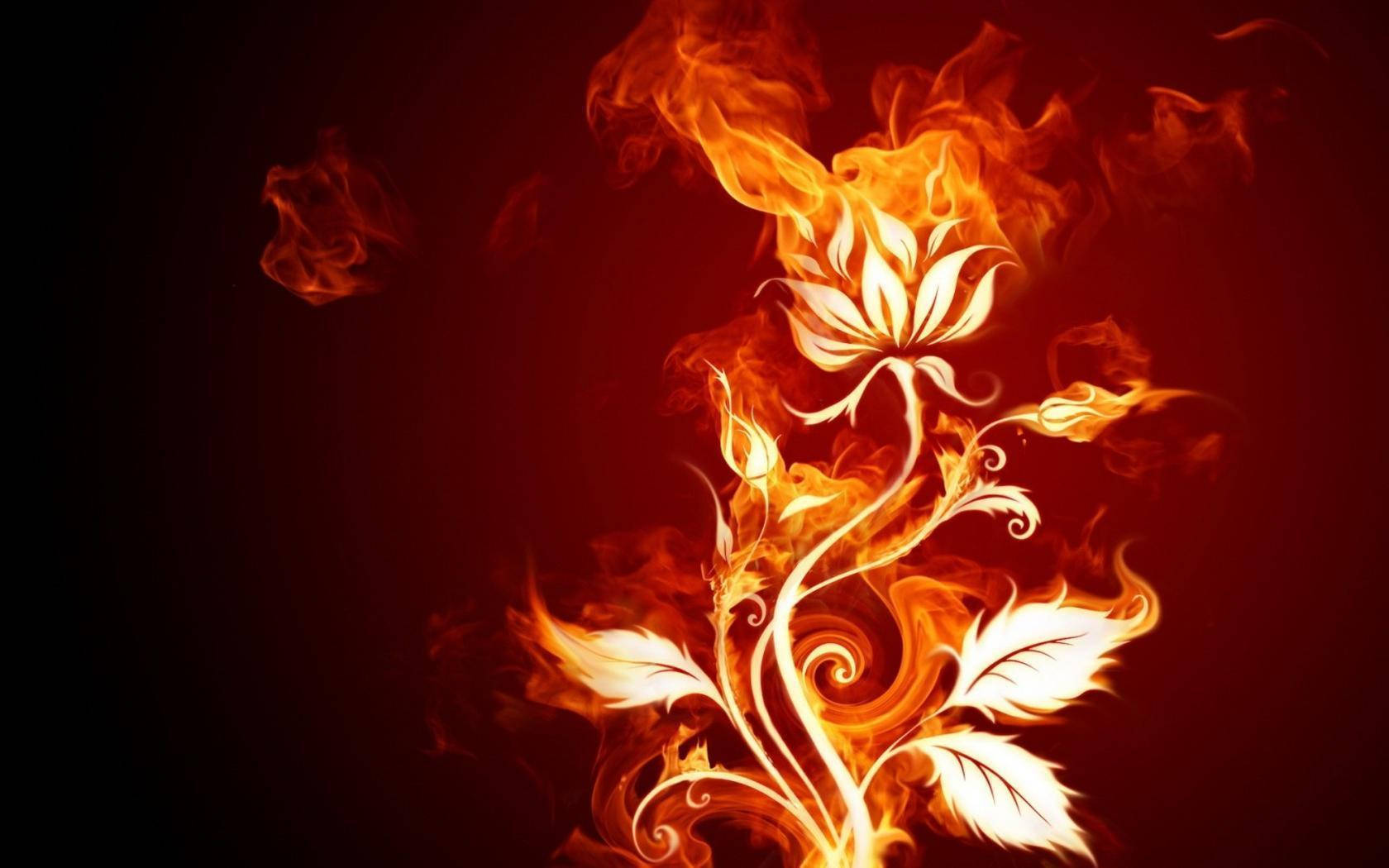 On Fire Flower Background