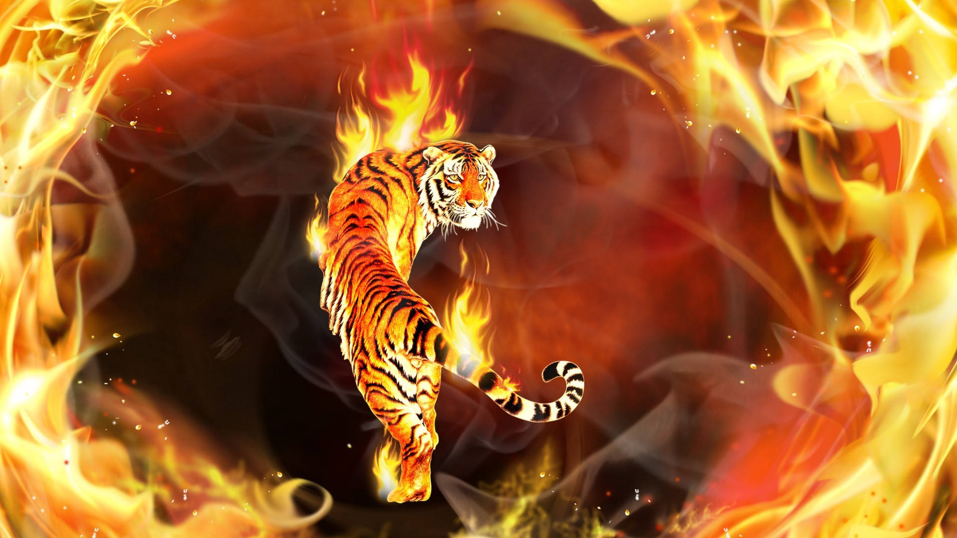 On Fire Tiger Background