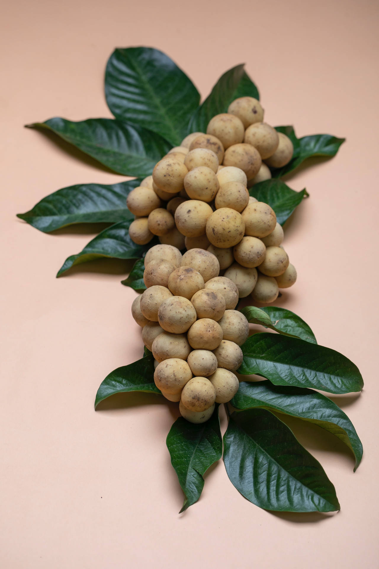 One Bunch Of Longan Fruits