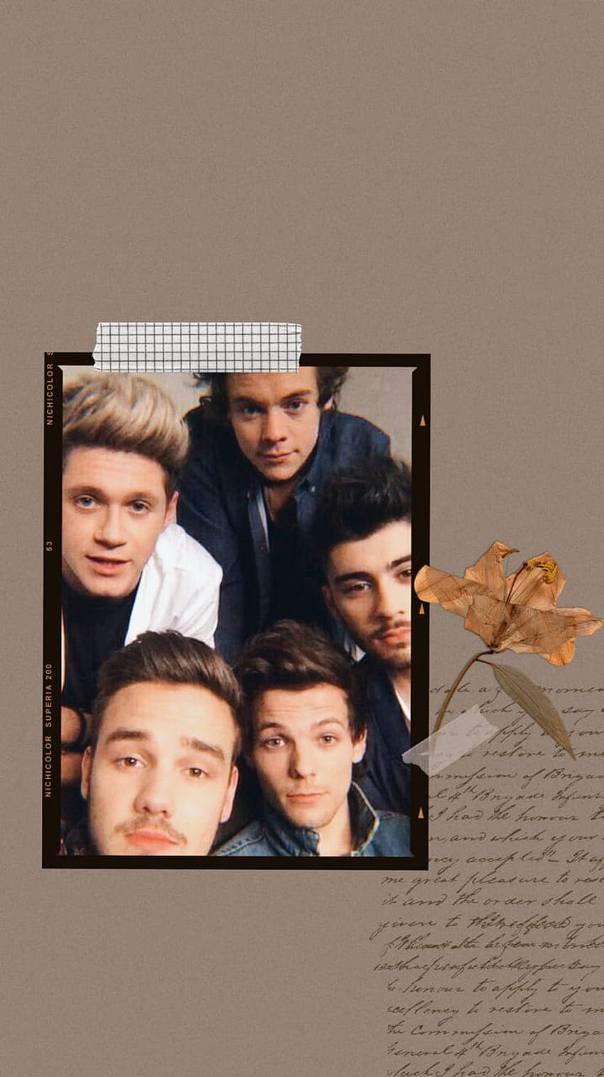 One Direction Aesthetic Pressed Flower