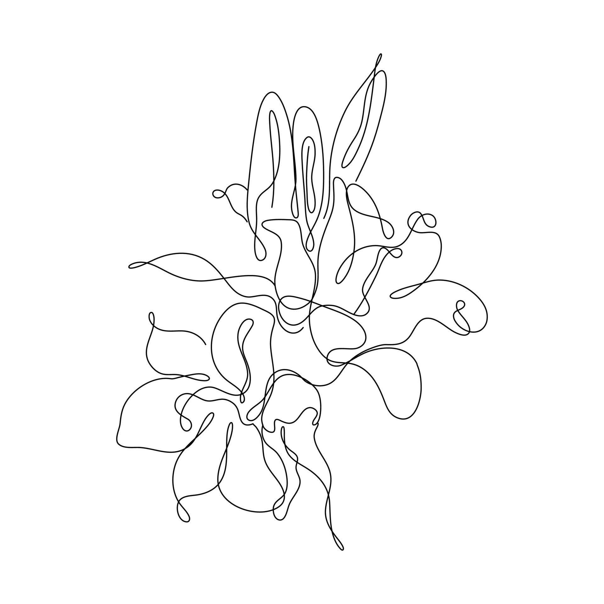 One Line Drawing Flower Petals Background