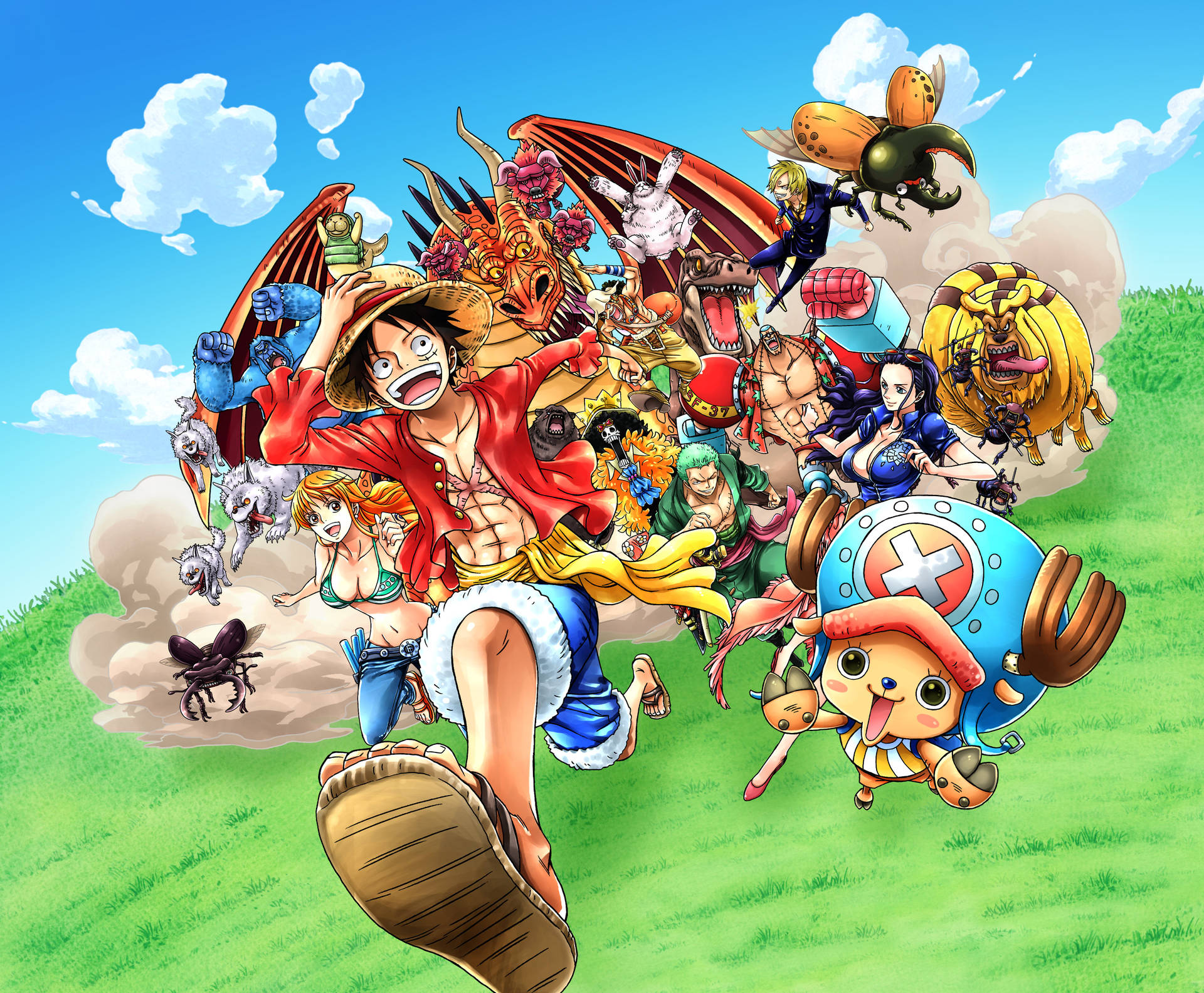 One Piece Anime 4k Background