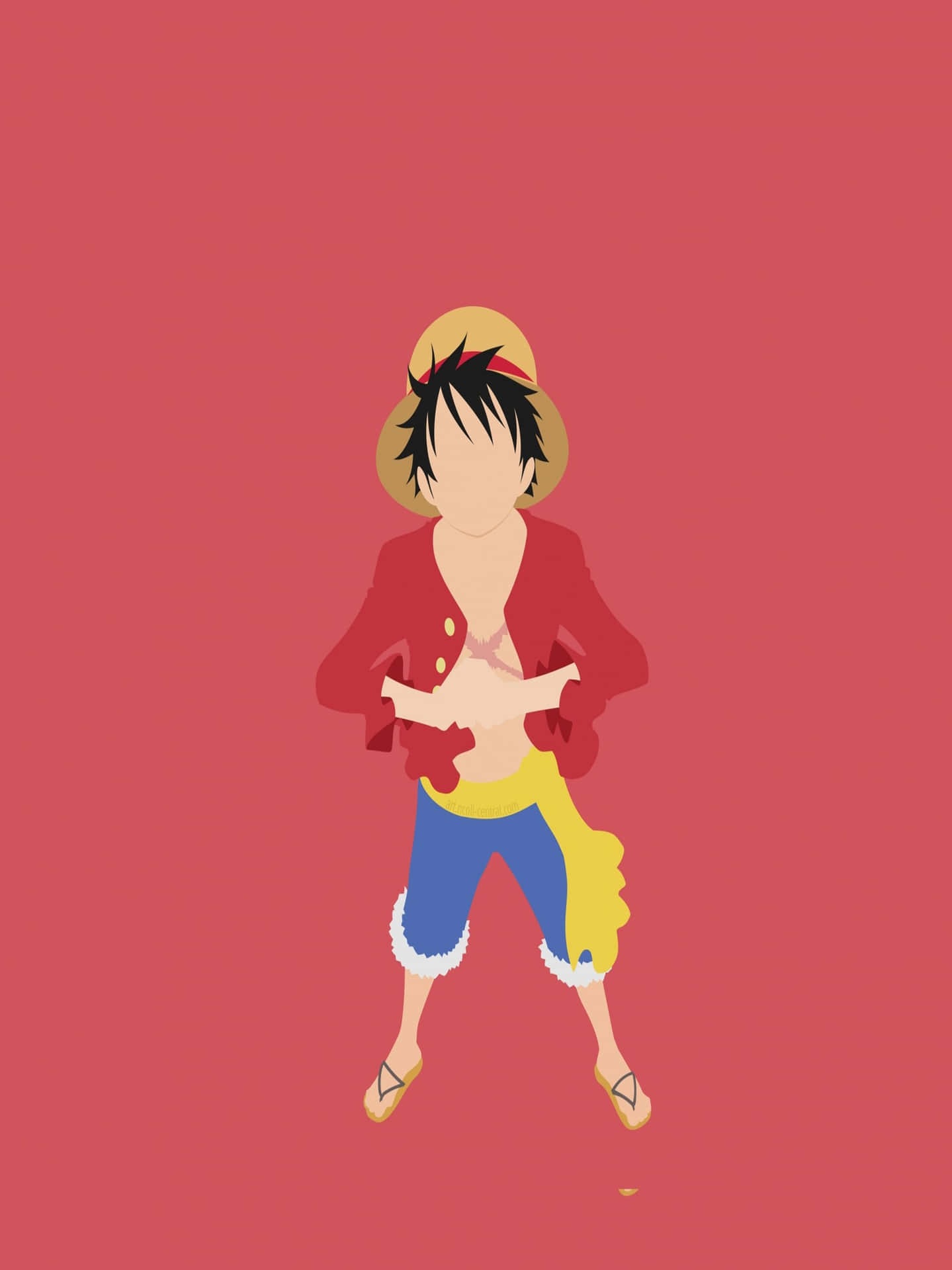 One Piece Anime Character Illustration