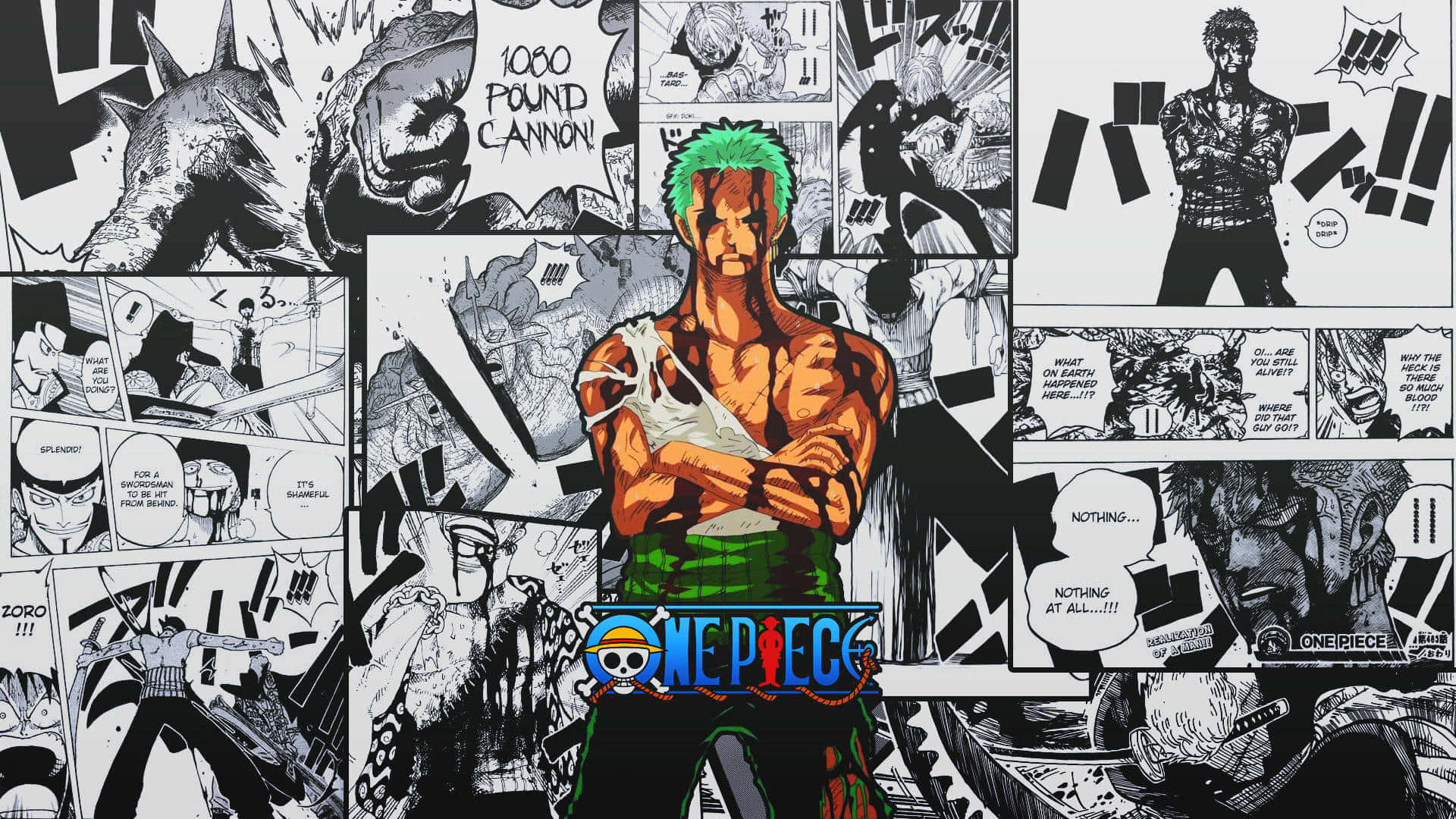 One Piece Anime Zoro Manga Pages