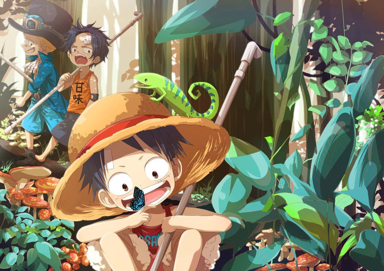 One Piece Chibi Luffy Ace And Sabo Background
